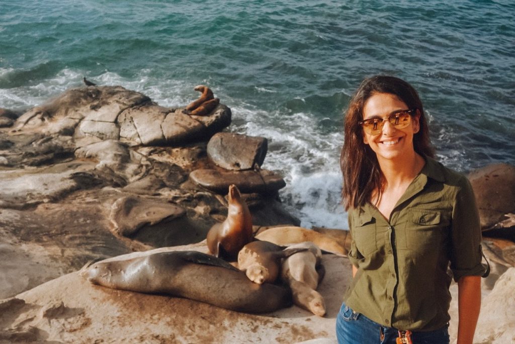 seals in san diego