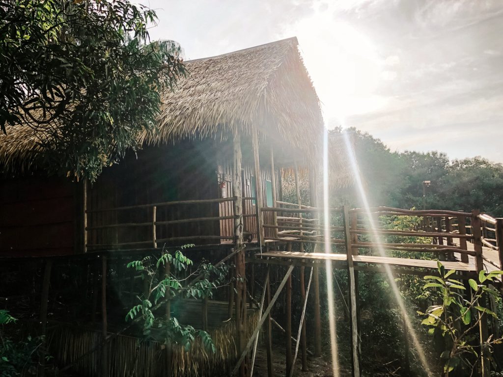 tariri amazon lodge